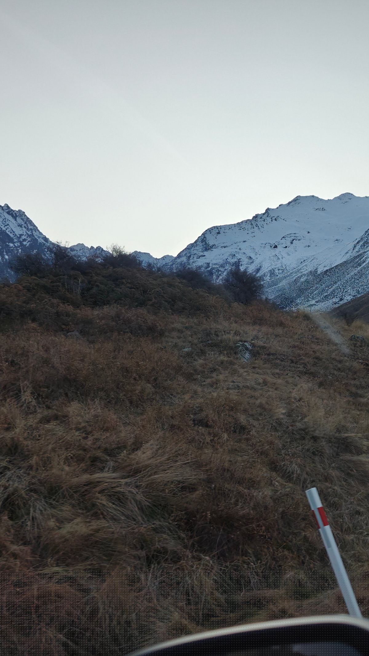 Grassy roadside verge with a marker post and