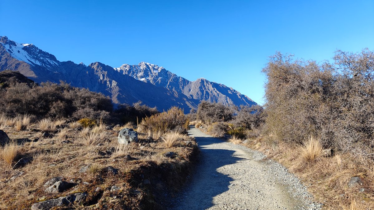 Gravel walking trail winding through golden tussock and