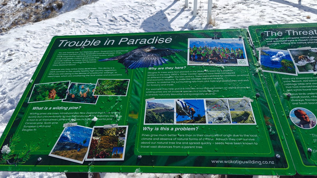 Green interpretive panel titled 'Trouble in Paradise' about
