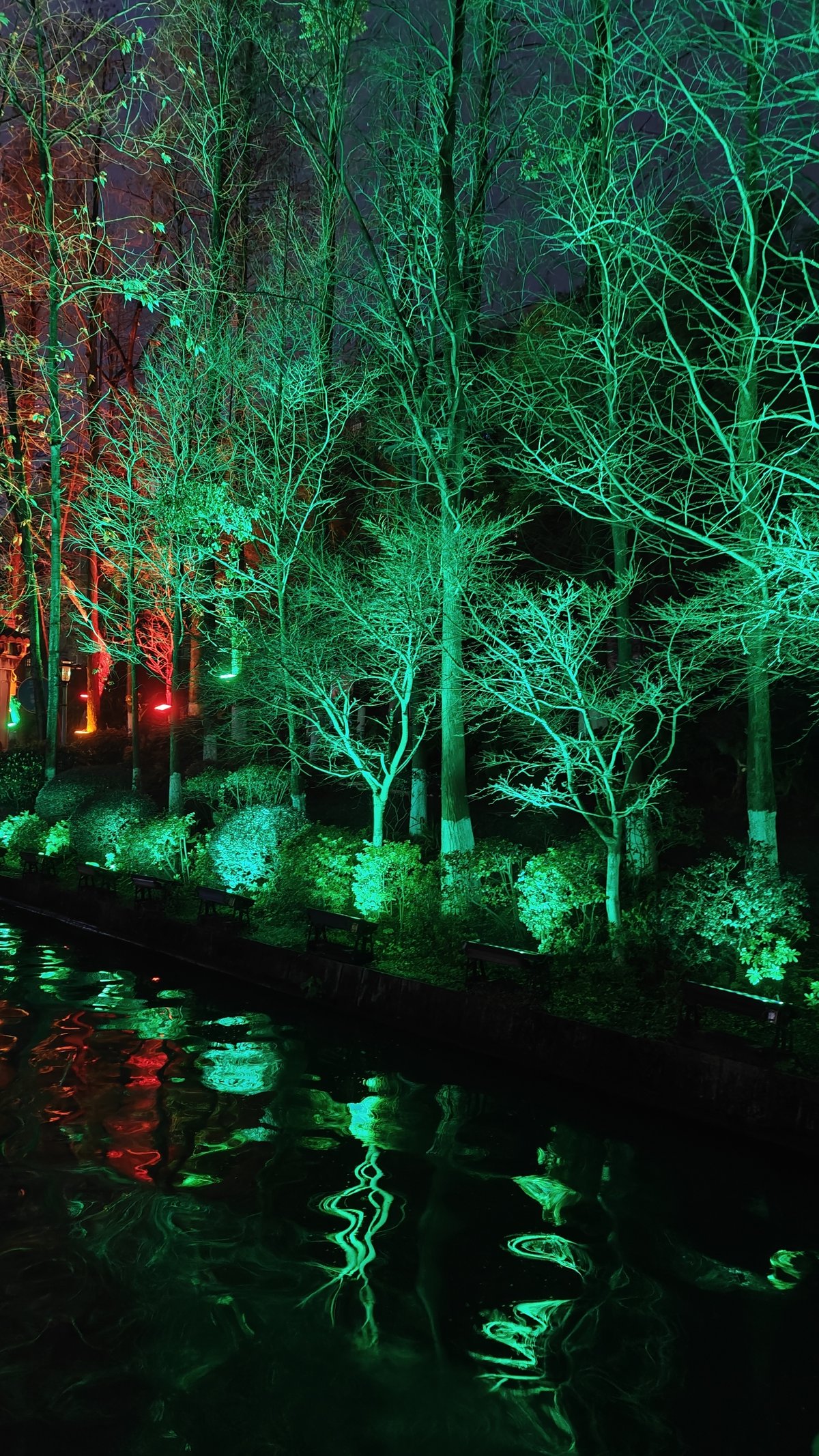 Green LED trees along lakeshore
