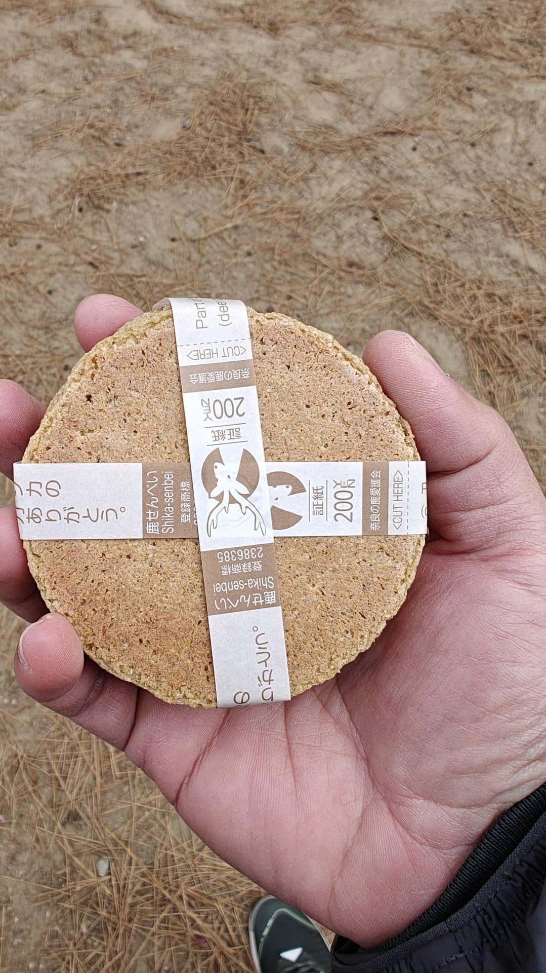 Hand holding a sand-colored cracker