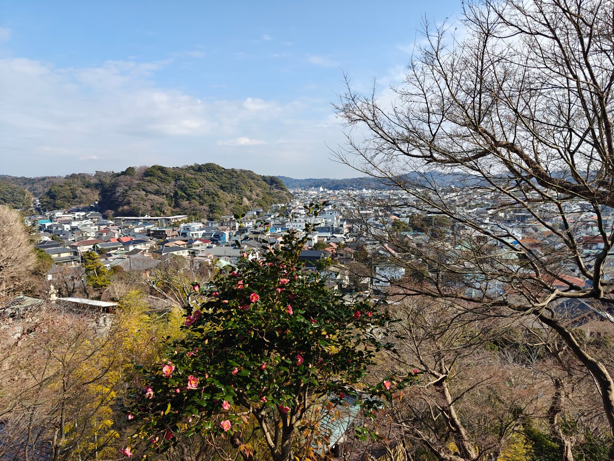 Hilltop view to Kamakura sea