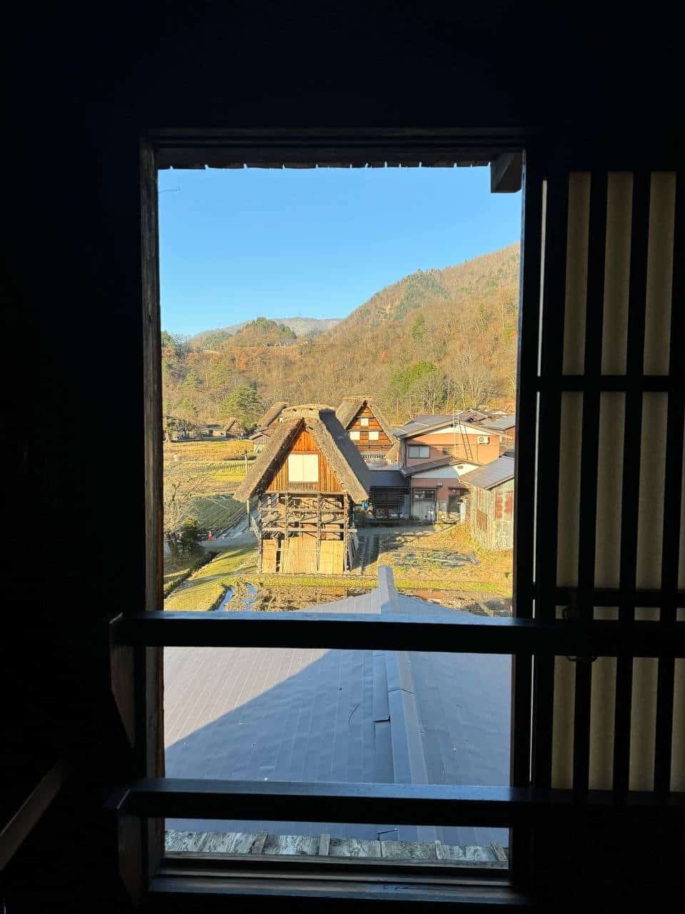 House across rice field view