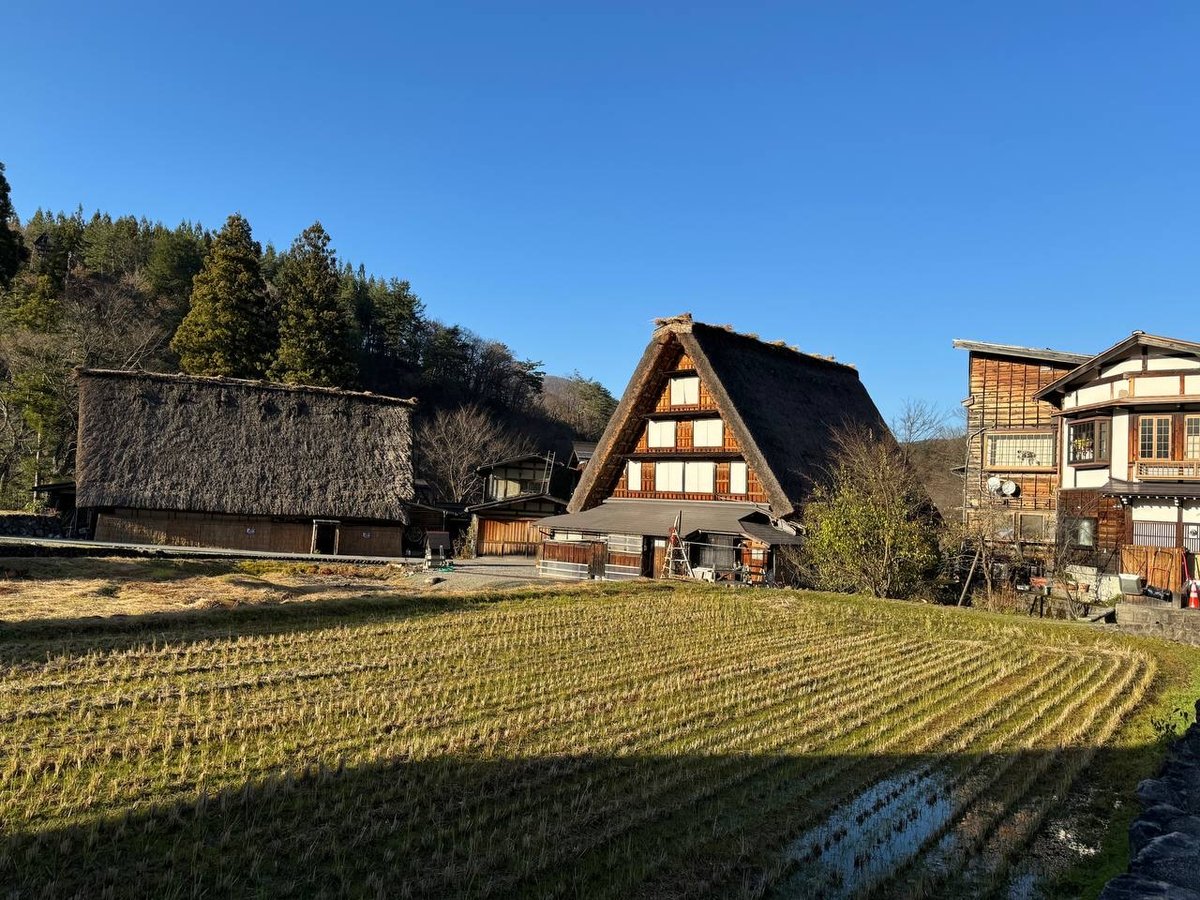 House beside bright rice paddy