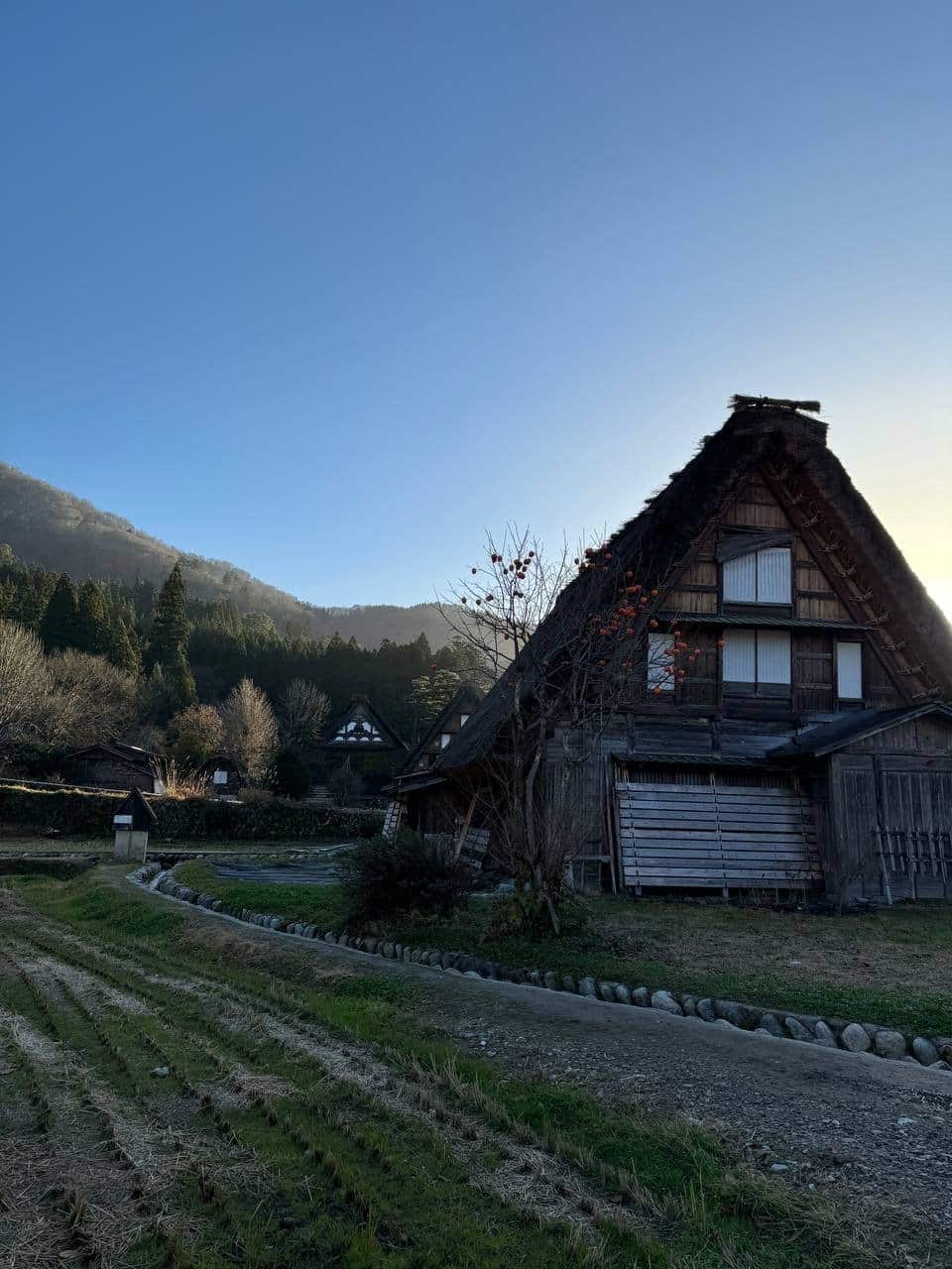 House glowing at golden hour