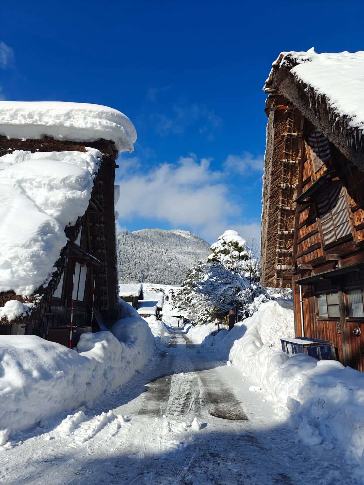 Houses framing snowy mountain path