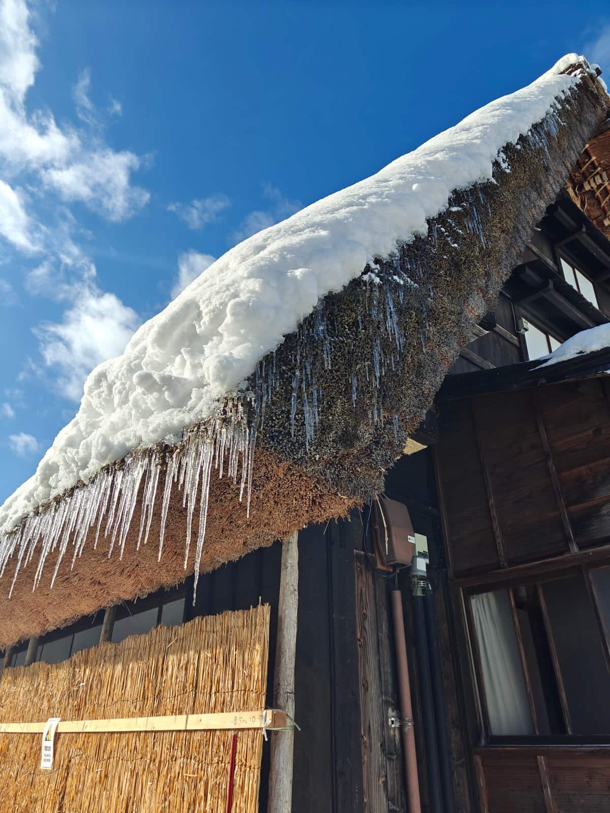 Icicles hanging from thatched edge