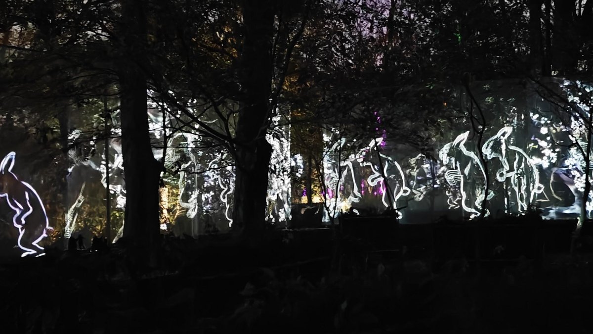 Illuminated animal figures in forest