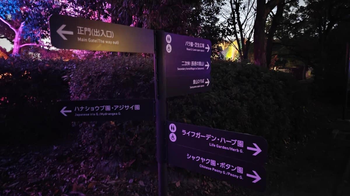 Illuminated directional sign at night
