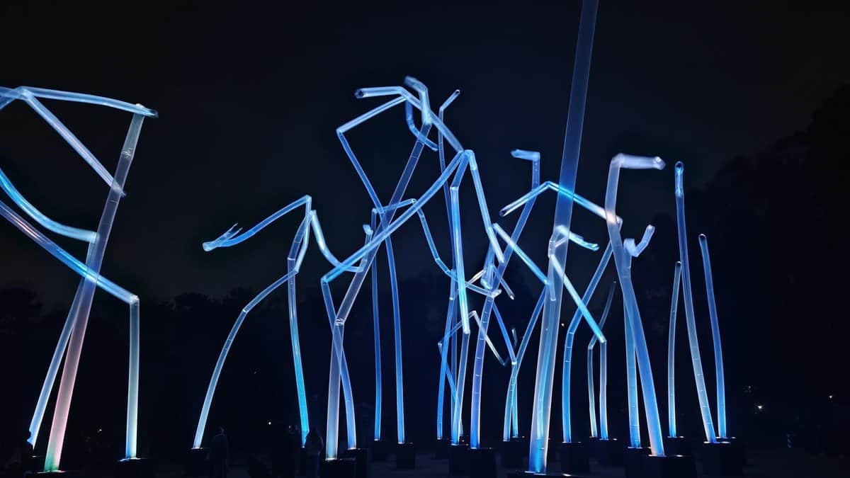 Illuminated night sculpture installation