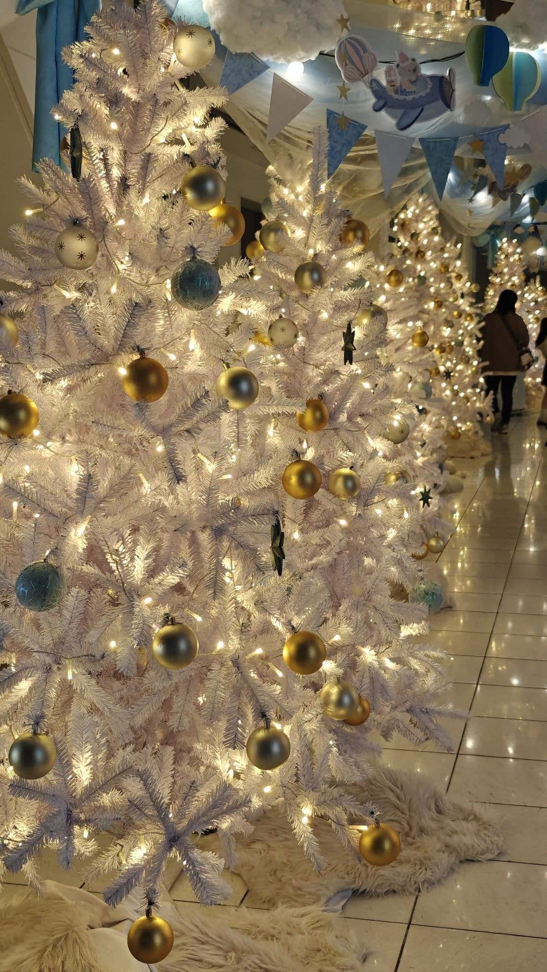 Illuminated white Christmas trees