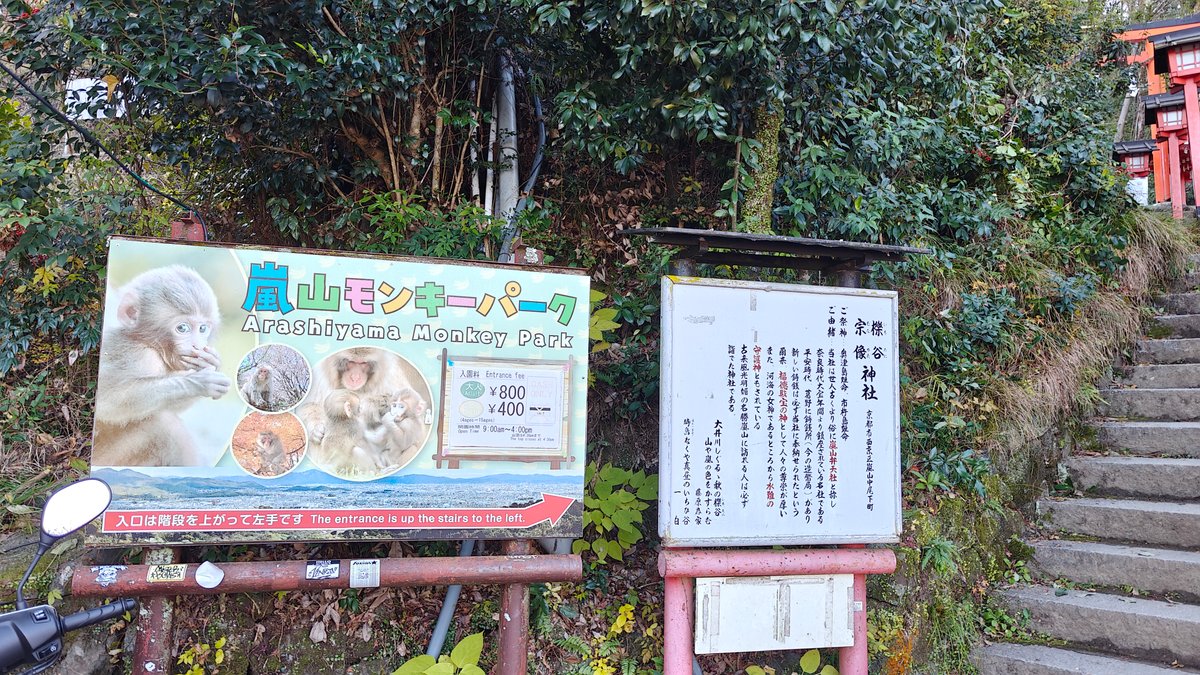 Information board with monkey photos near the park