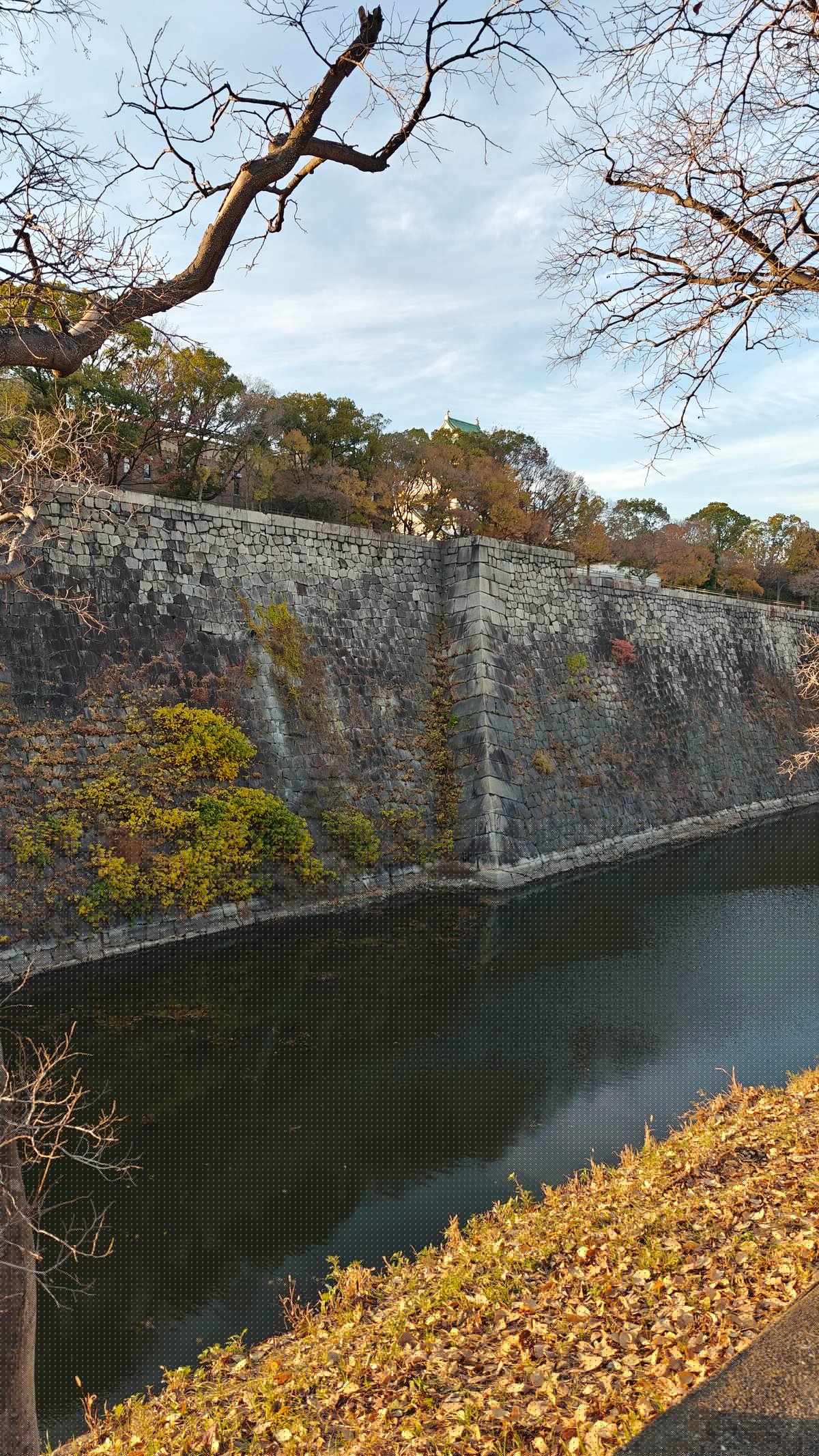 Inner moat castle peeking above