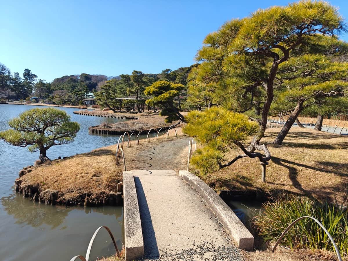 Islet pines and stone bridge