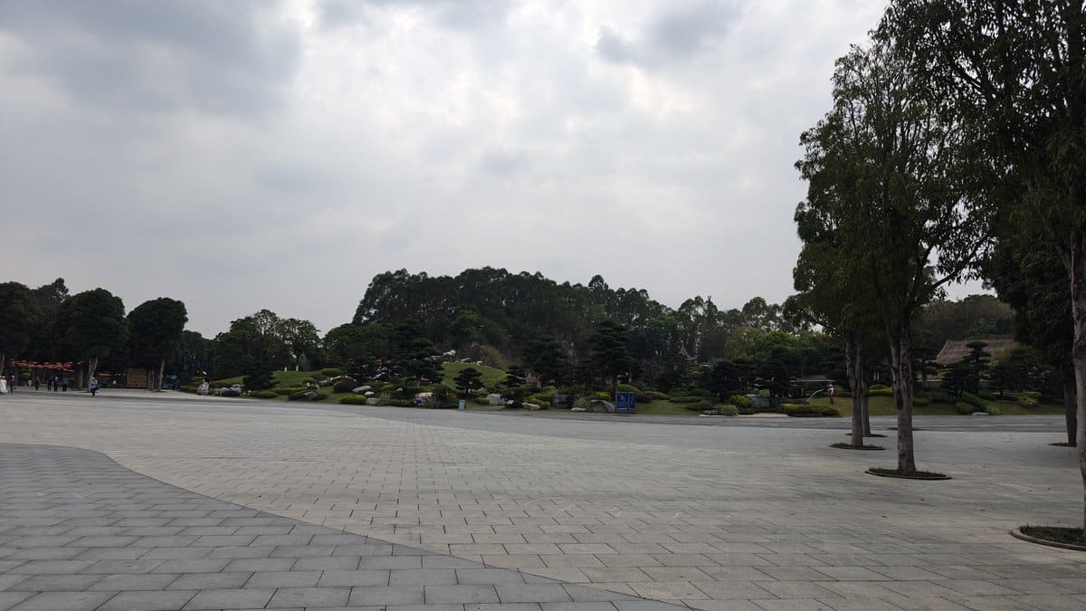 Japanese rock garden with pines