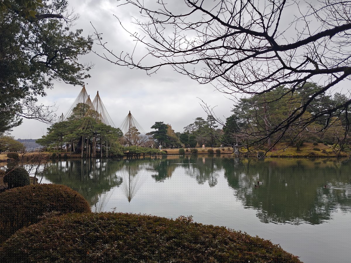 Karasaki Pine classic winter view