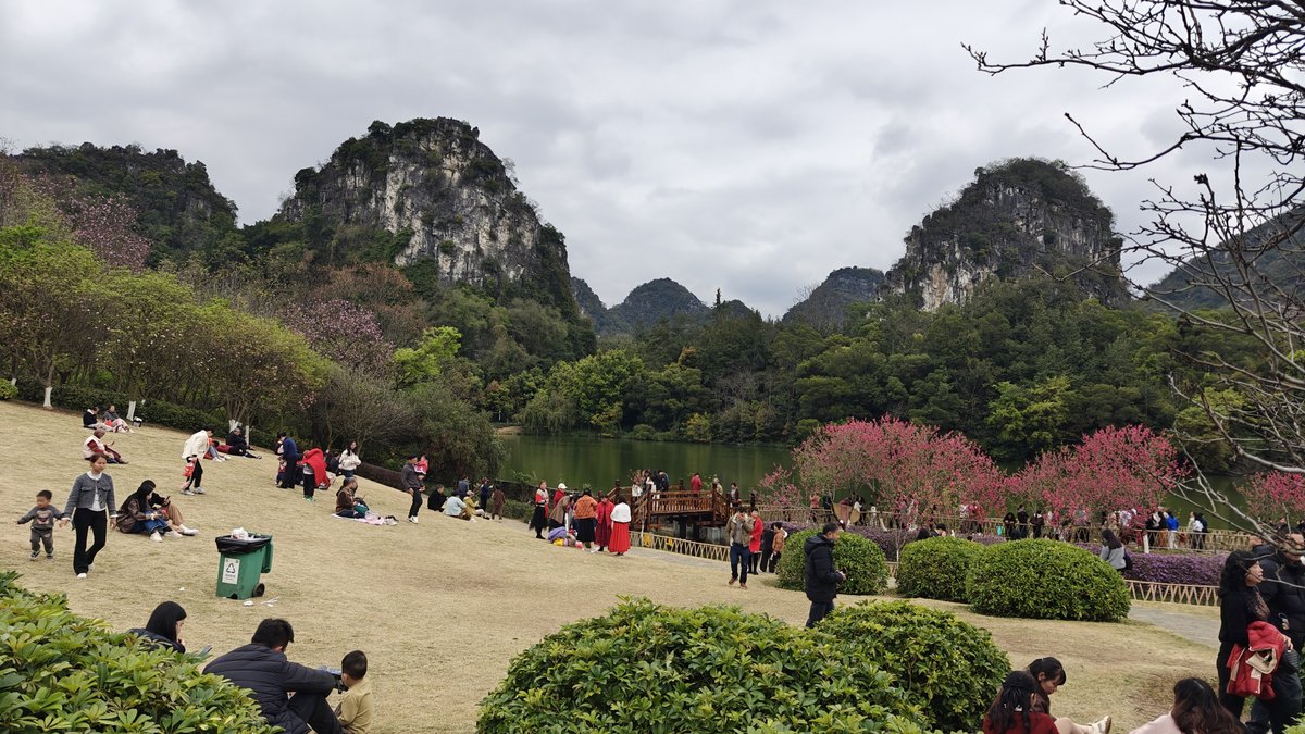 Lake flowering trees karst peaks