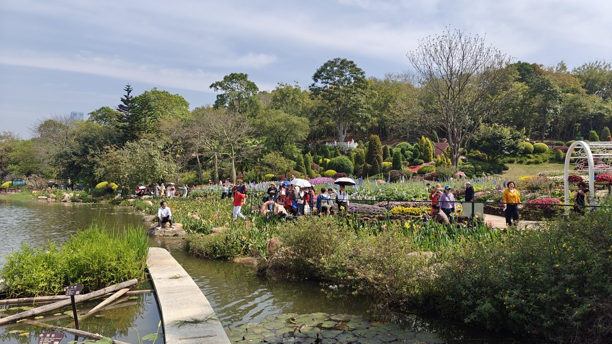 Lake garden wooden walkway flowers