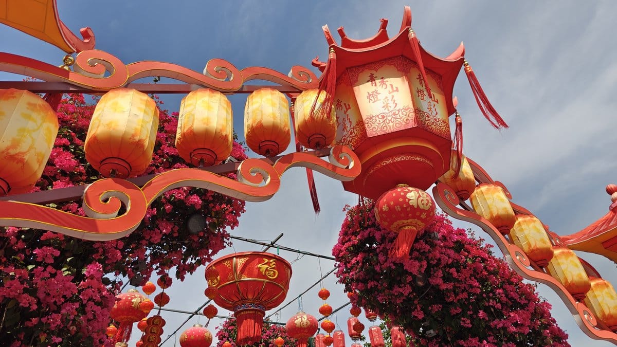 Lanterns and bougainvillea overhead close-up
