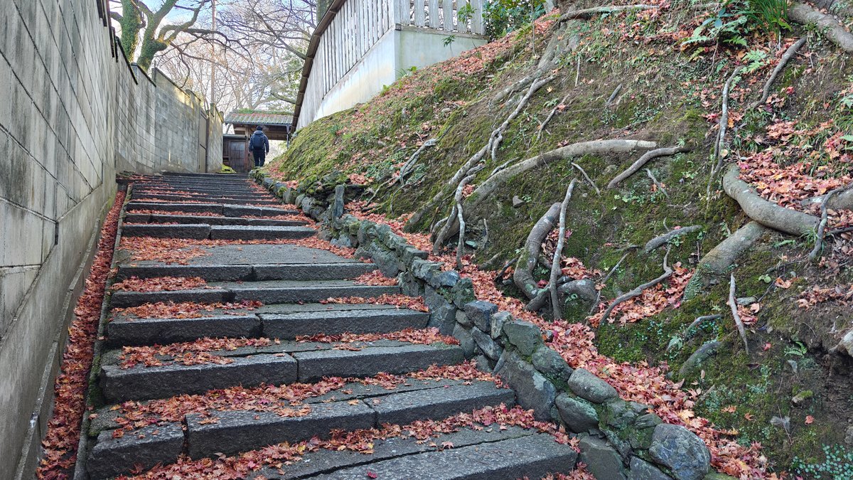 Leaf-strewn stone staircase climbing the mossy bank