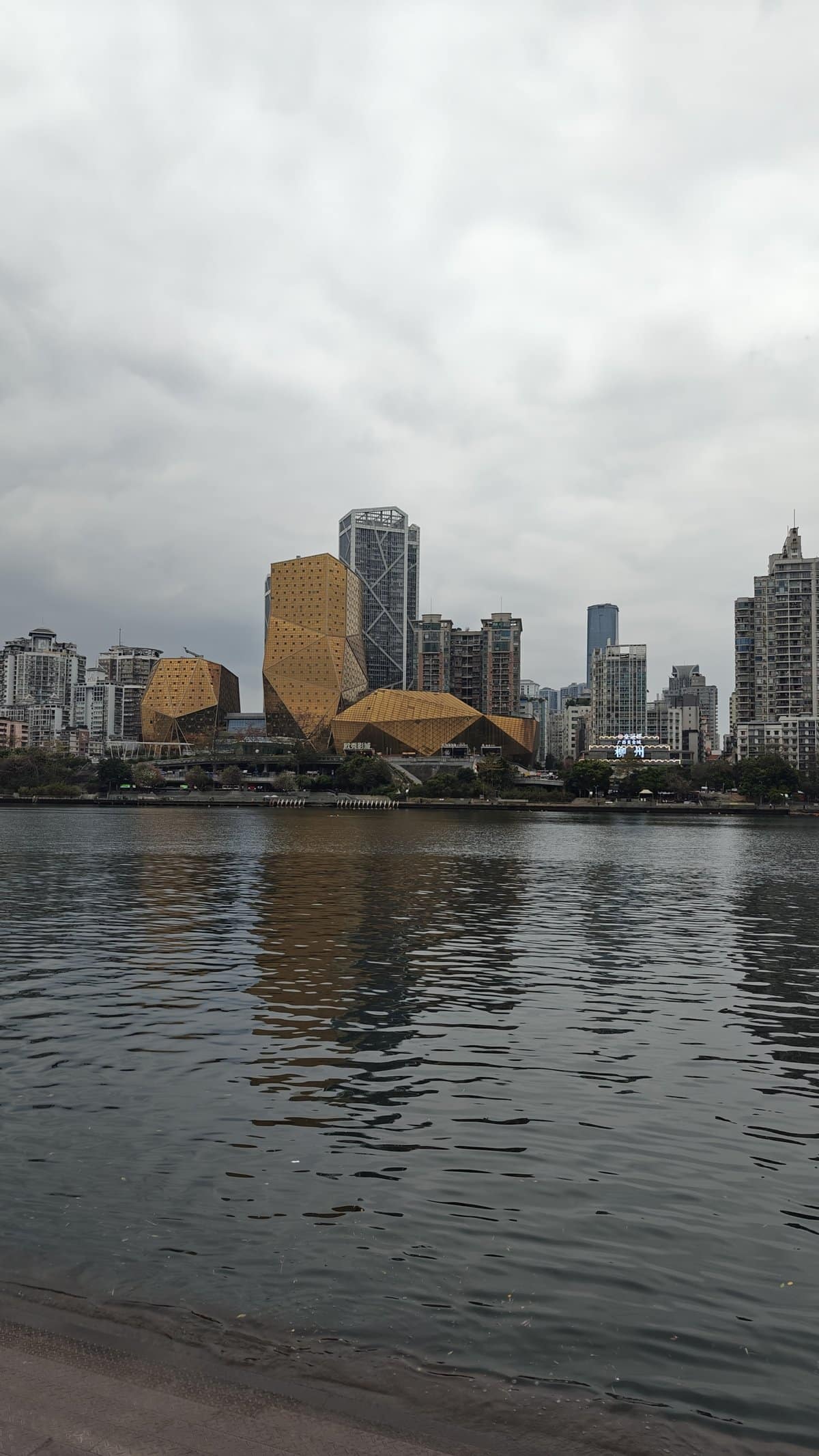 Liuzhou skyline and golden arts center