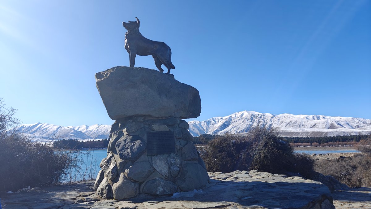 Mackenzie sheepdog statue by the lake