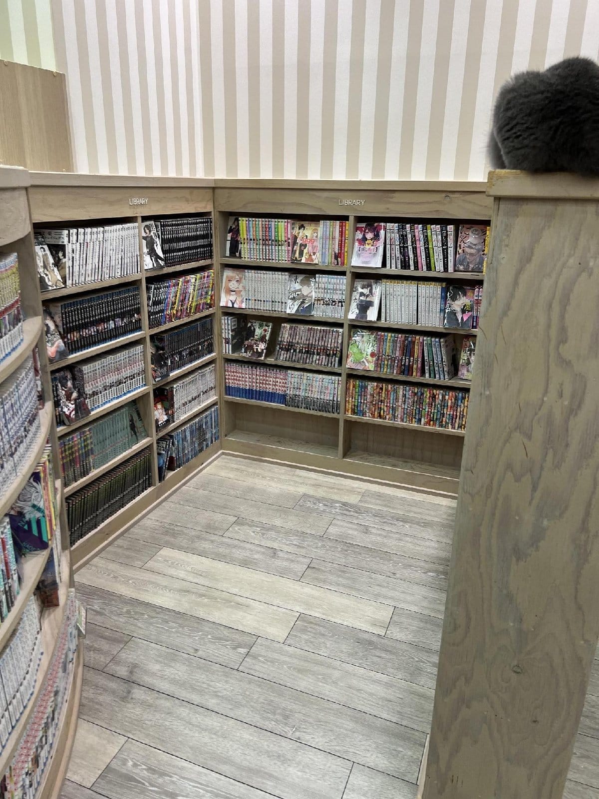Manga-filled library corner