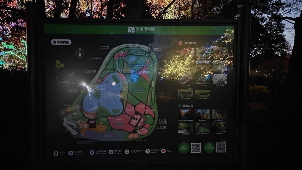 Map with illuminated foliage backdrop