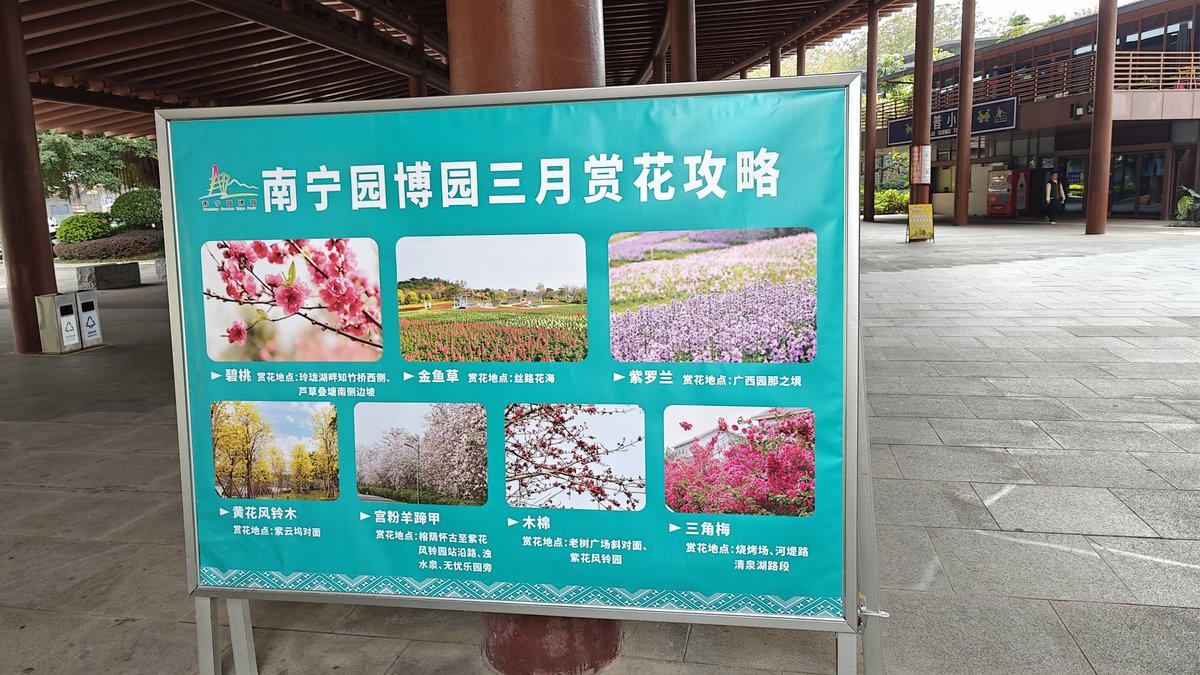 March flower viewing guide board