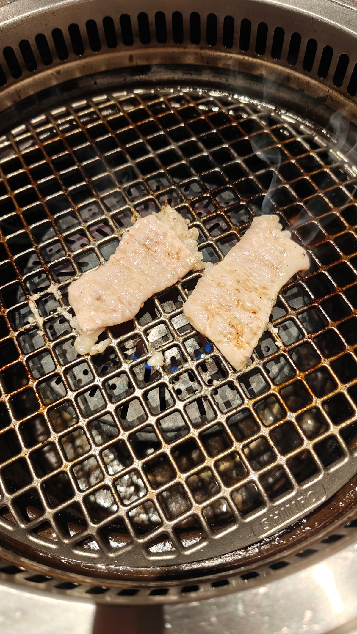 Meat grilling on charcoal grate
