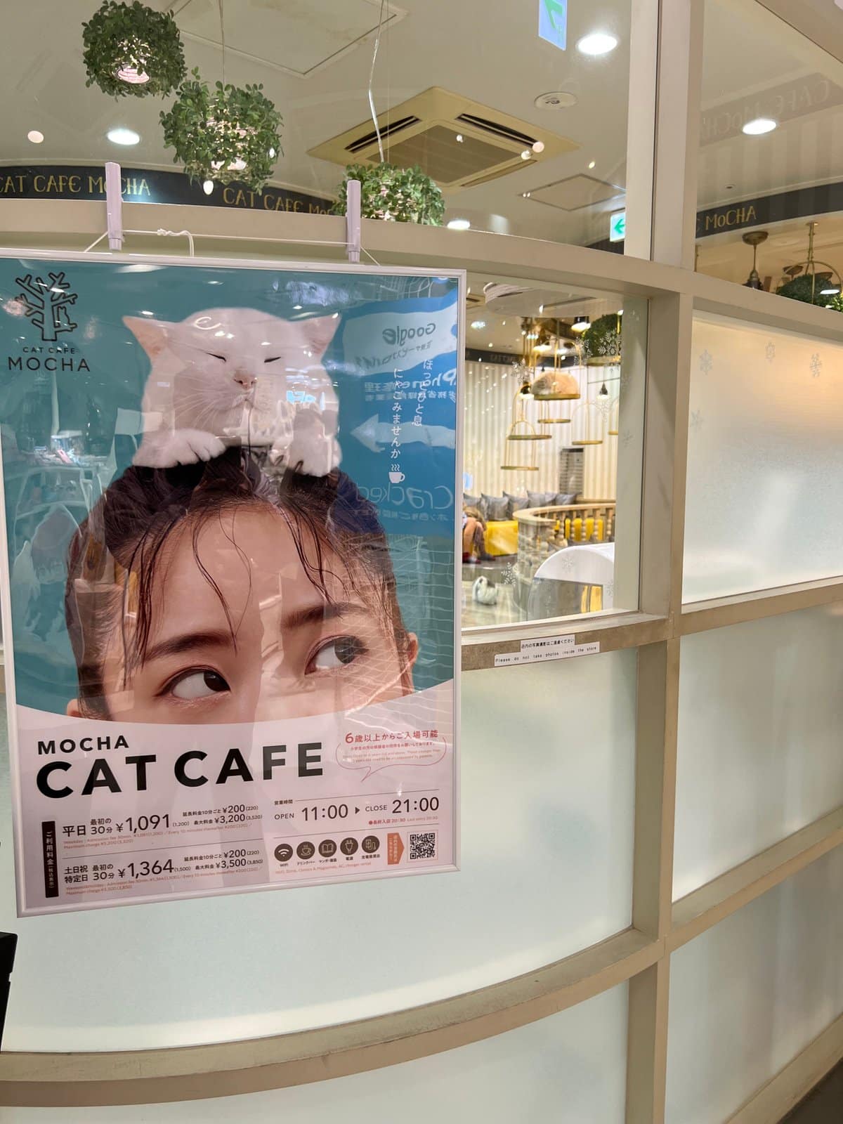 Mocha Cat Cafe entrance poster - girl with
