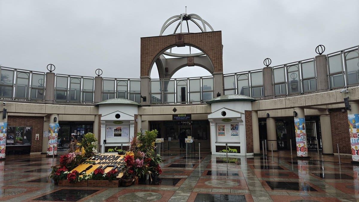 Modern building with floral display