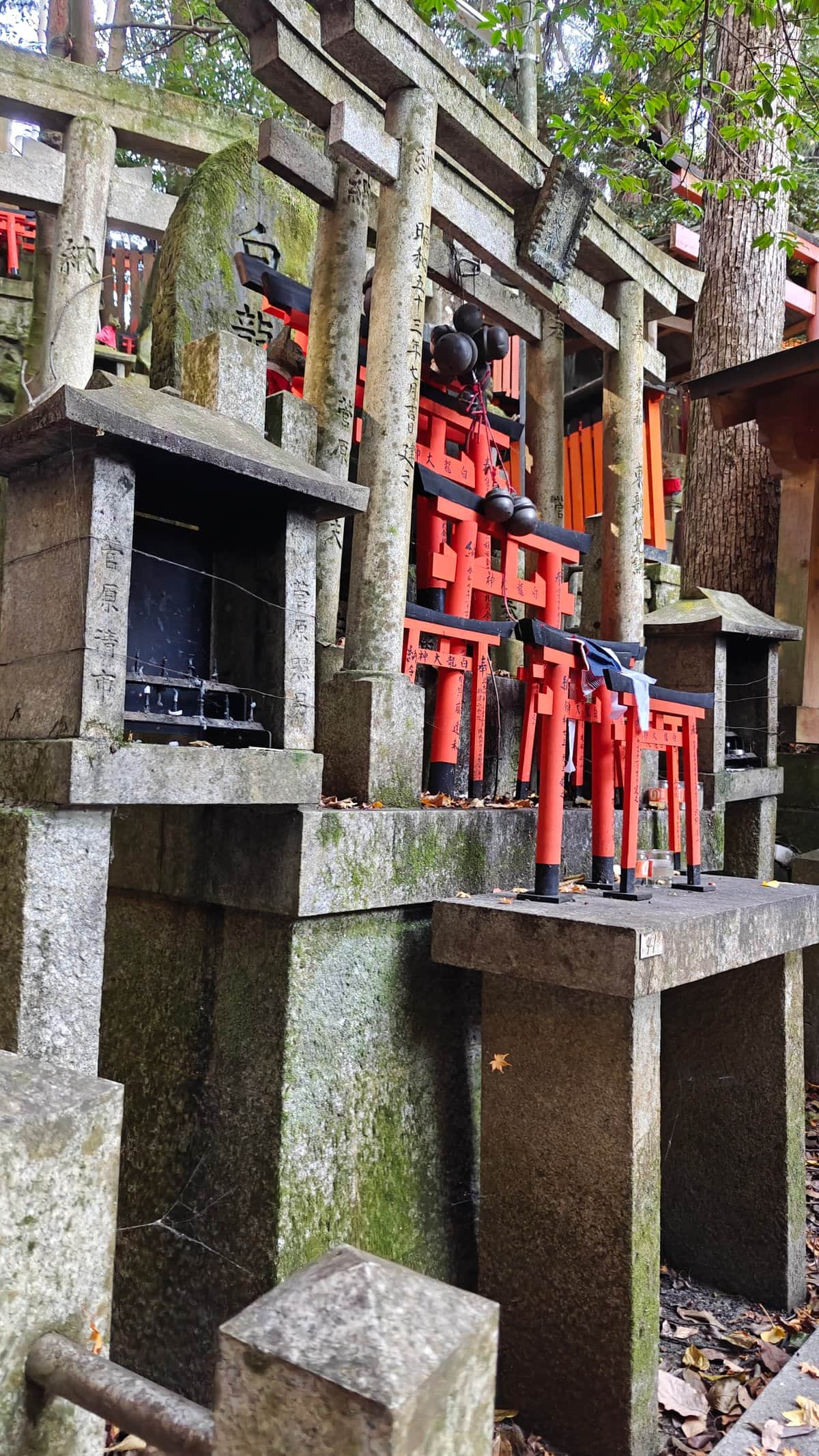 Mossy mound miniature torii offerings