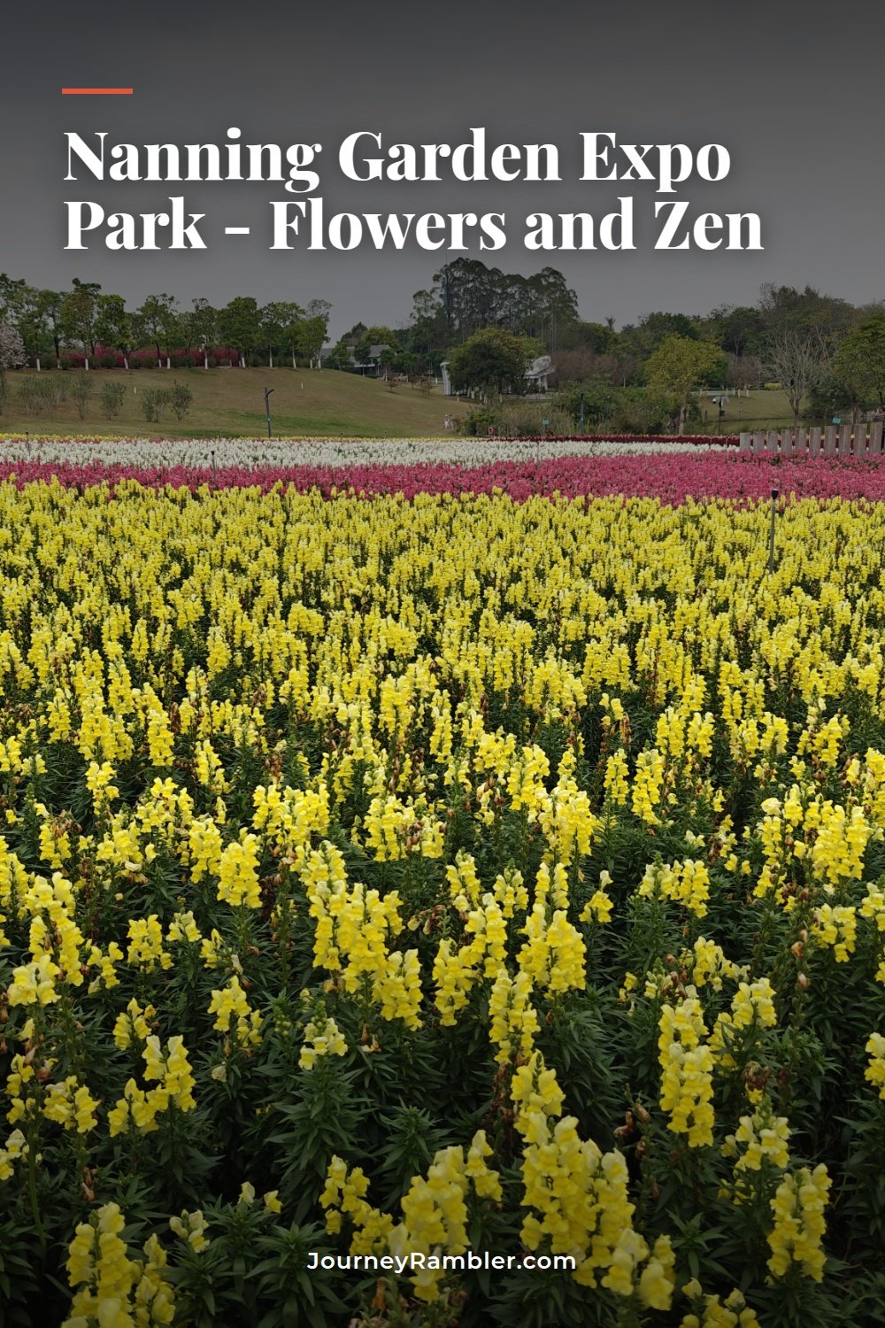 My Afternoon at Nanning Garden Expo Park with Snapdragon Fields and Zen Gardens