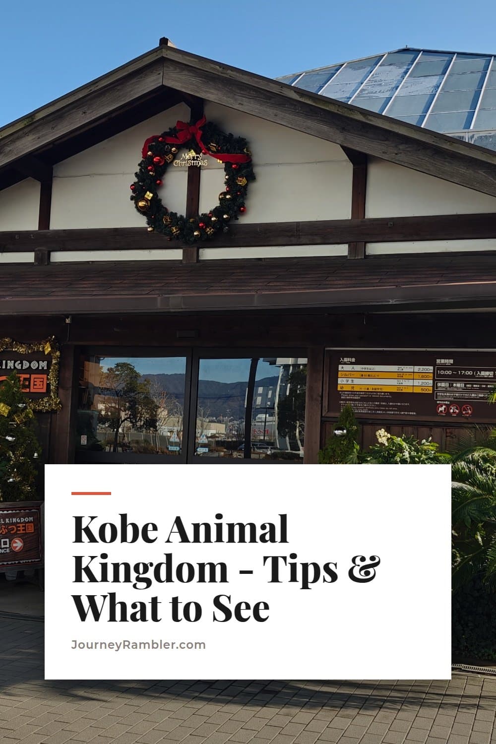 My Kobe Animal Kingdom Review: How Long I Spent and What I Actually Saw