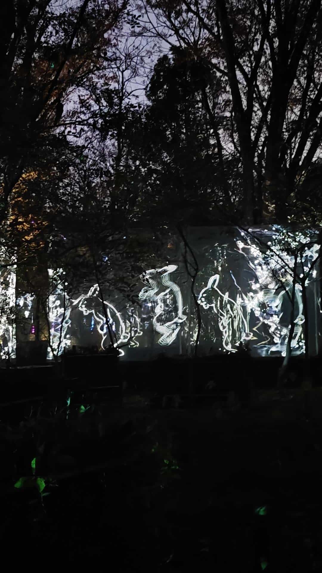 Neon animal lights in dark forest