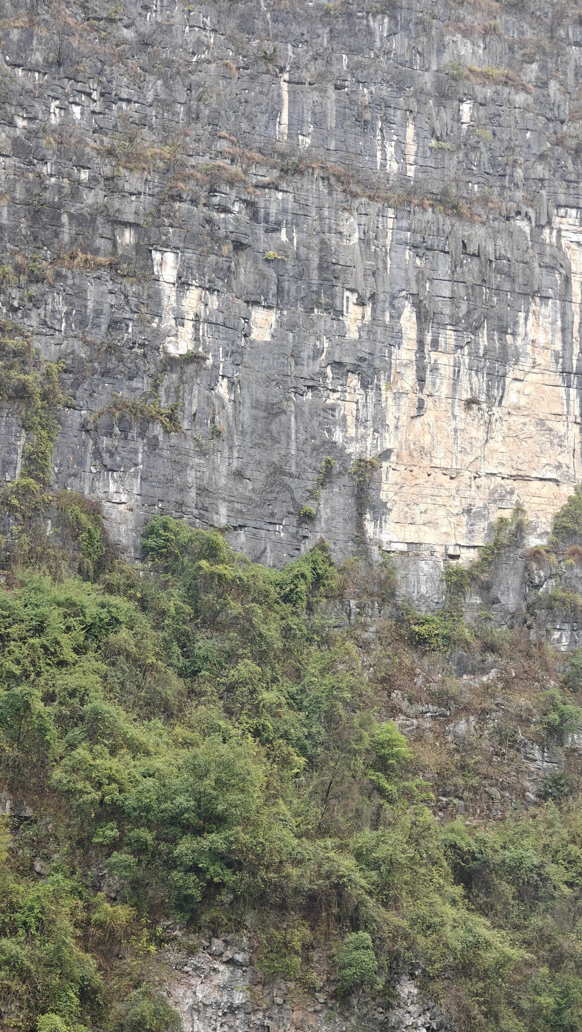 Nine Horses Mural Hill cliff face
