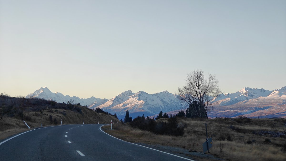 Open road with a lone bare tree and