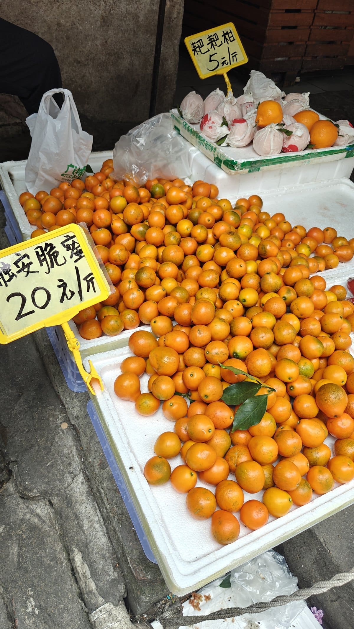 Orange citrus fruit display