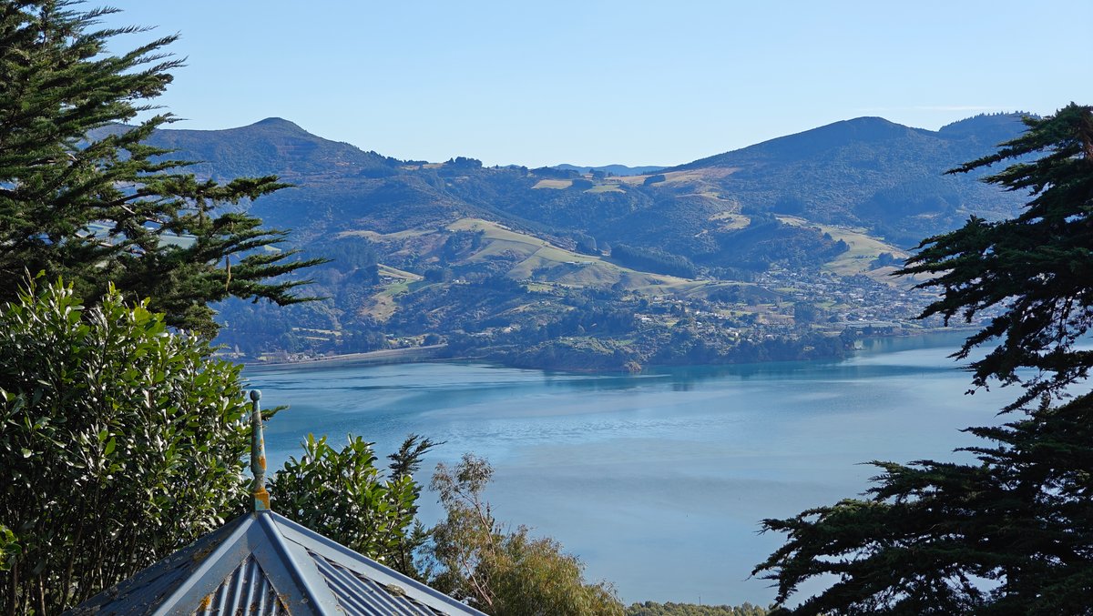 Otago Harbour from castle