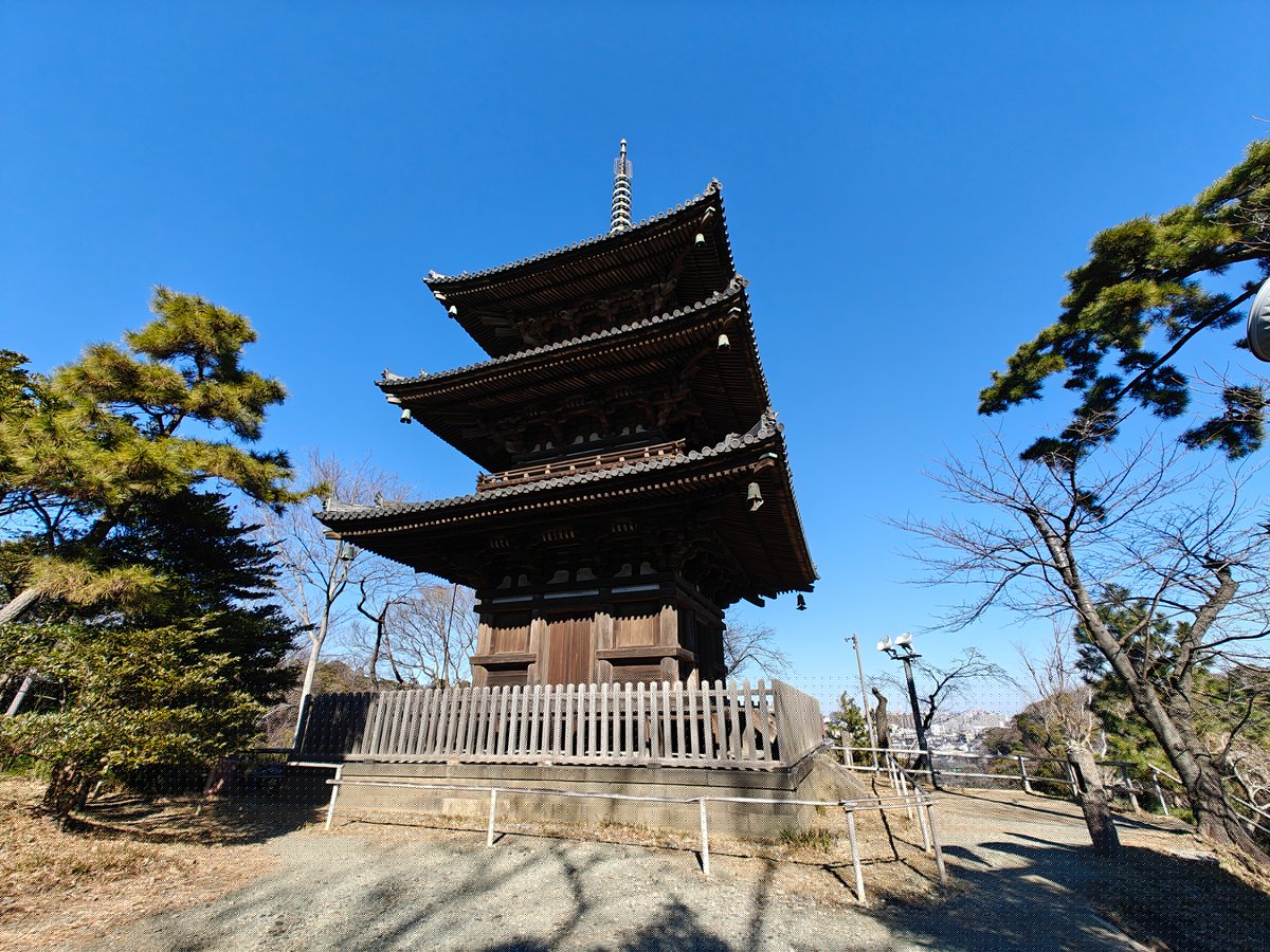 Pagoda among pines from base