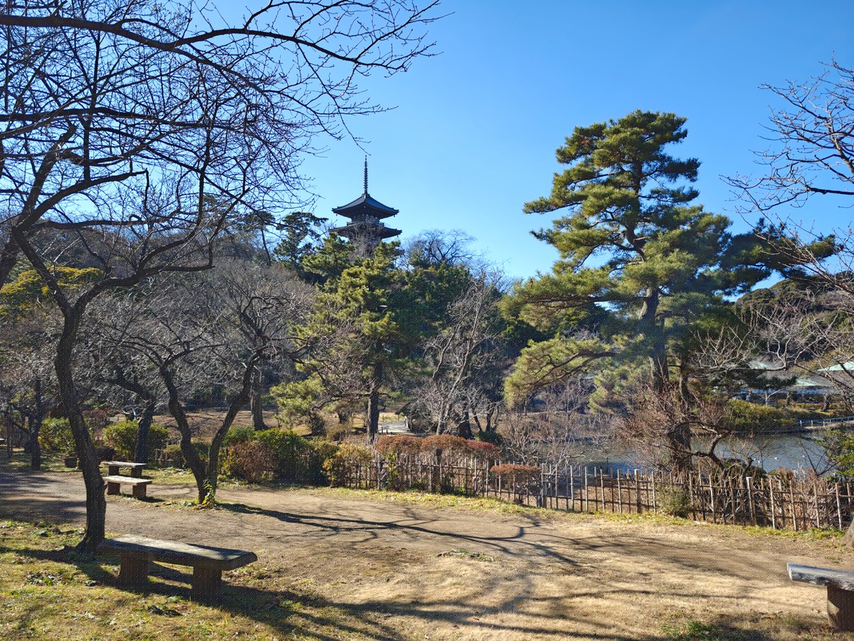 Pagoda on hill across pond