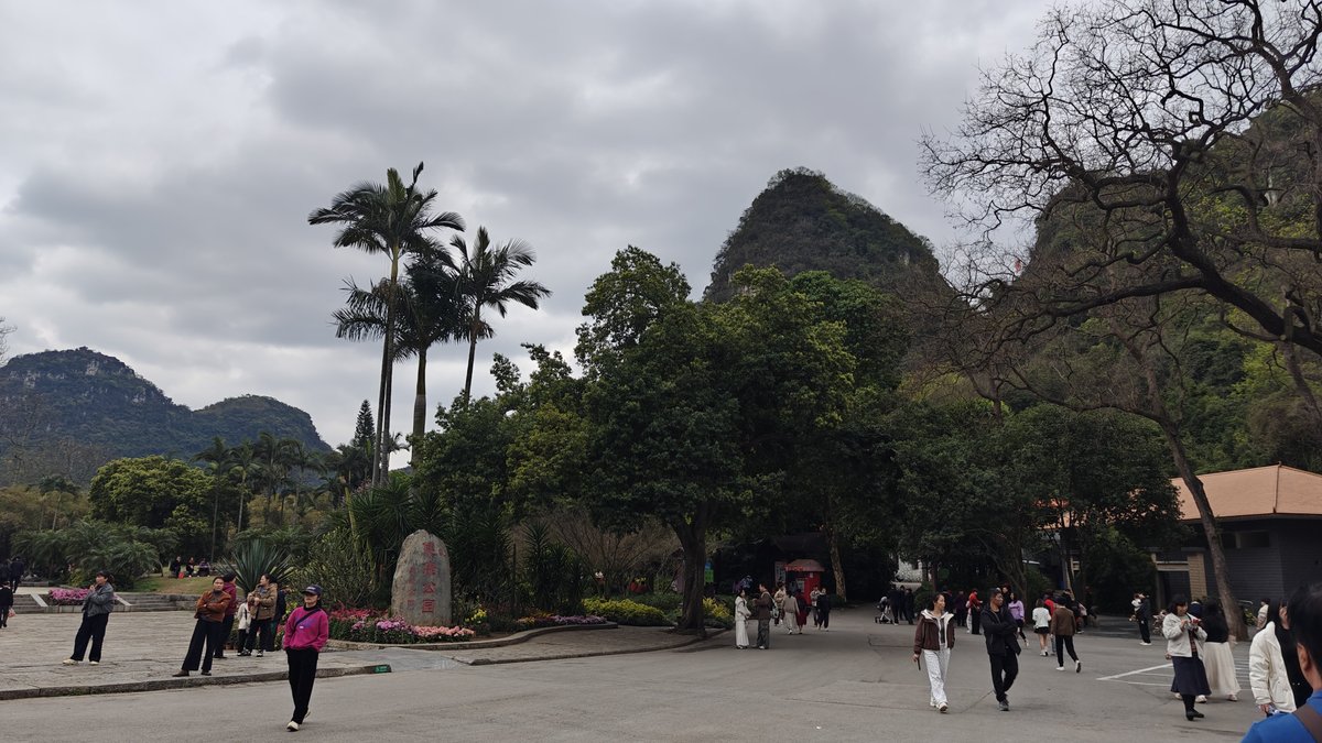 Palm pathways and mountain landscape