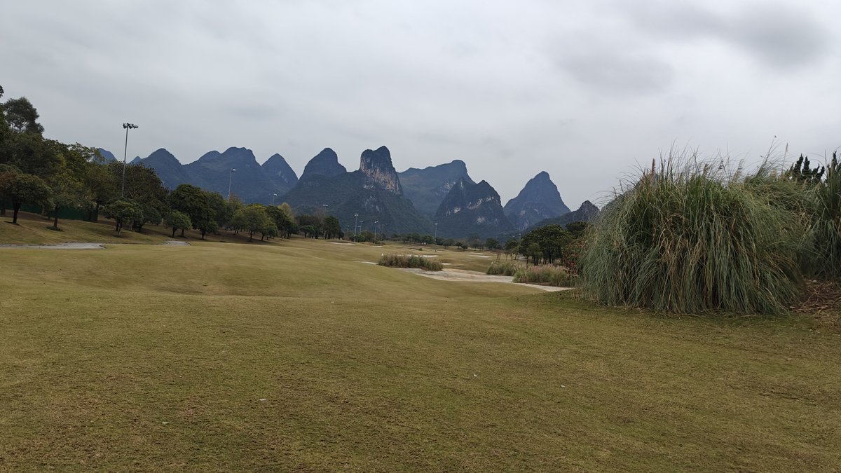 Pampas grass and karst hills