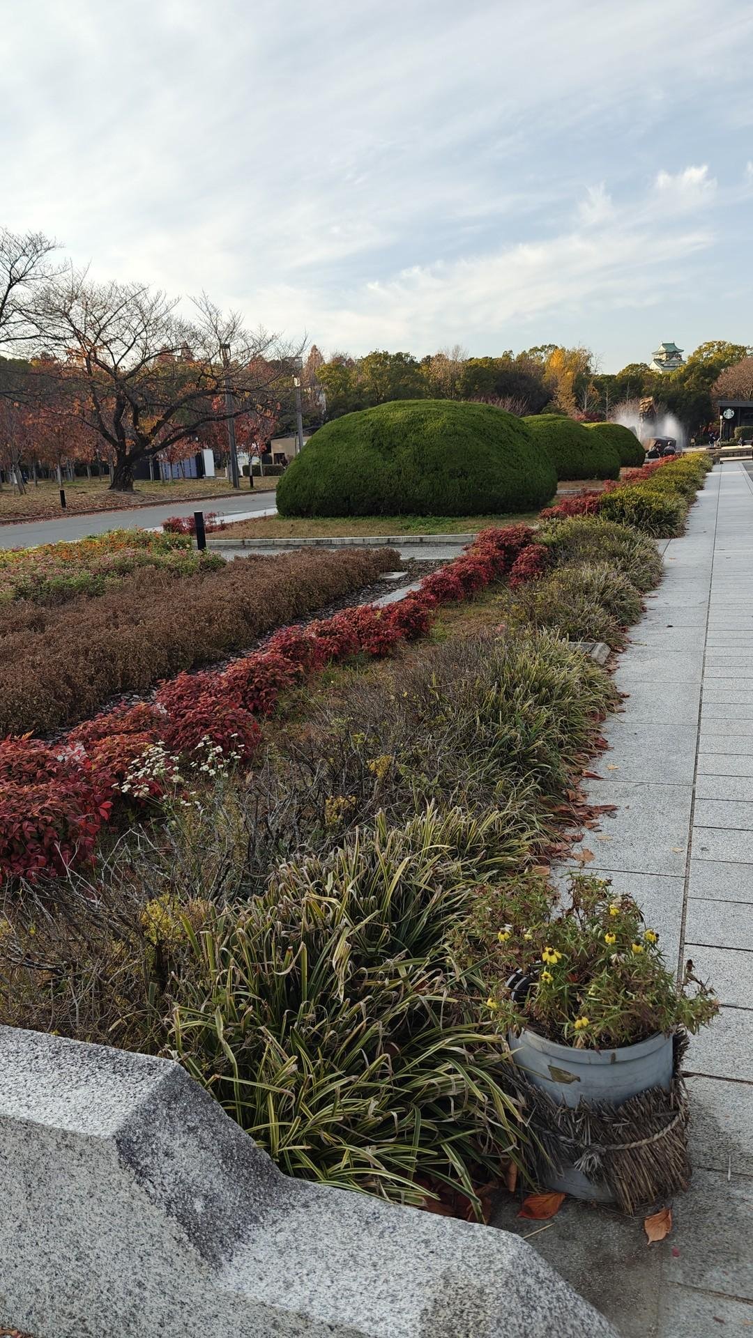 Park path with colorful foliage