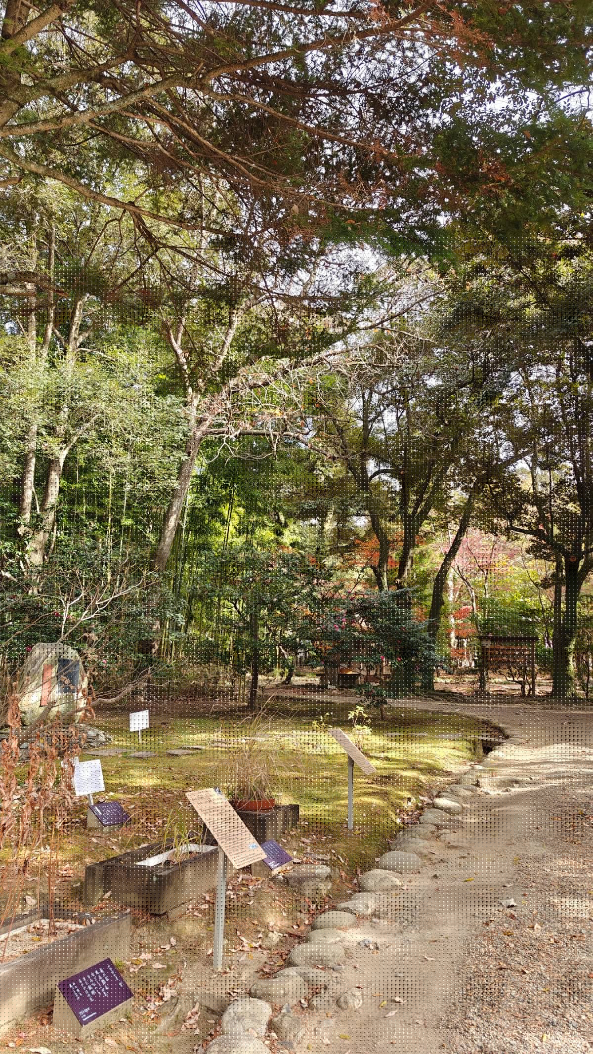 Path through garden with autumn colored trees, stone