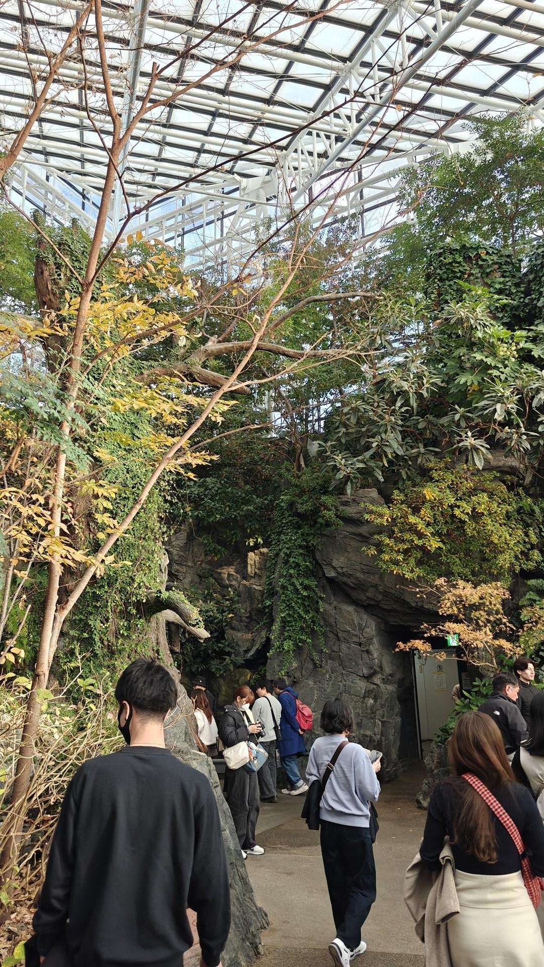 People in indoor botanical garden