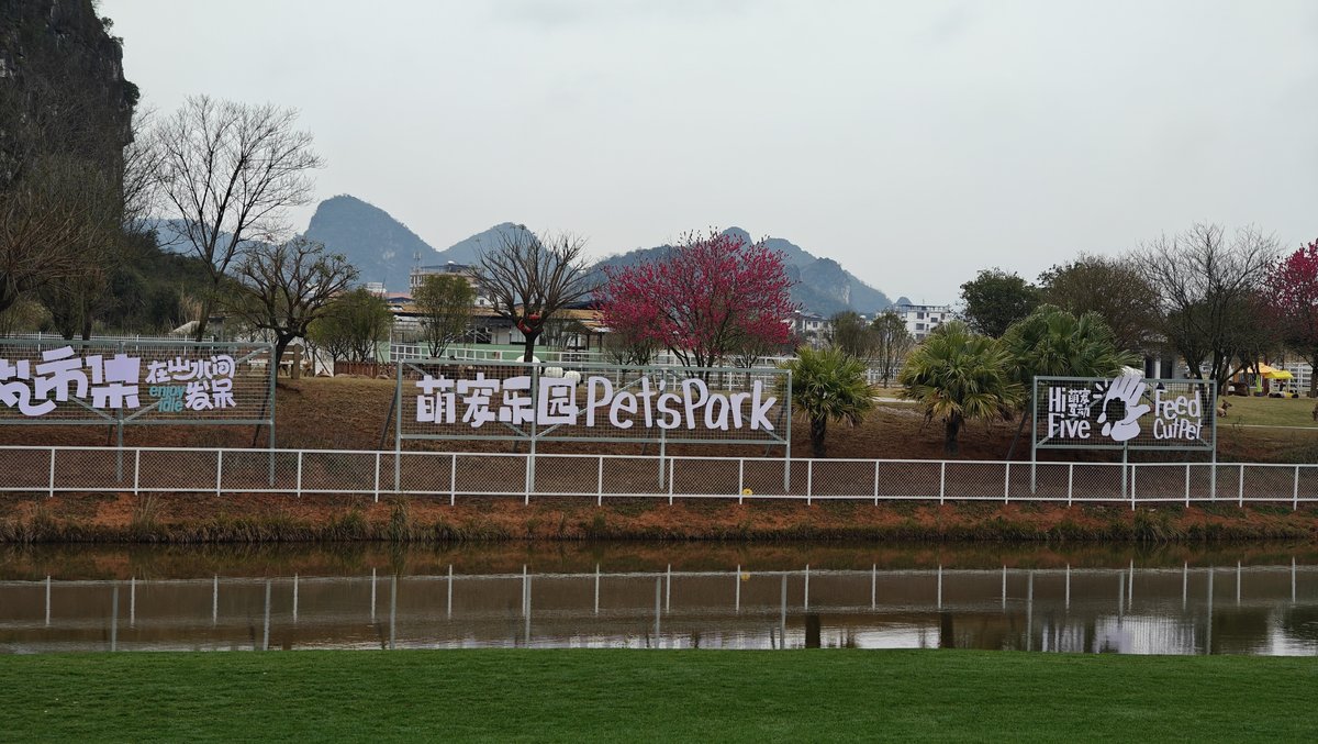PetsPark across the lake