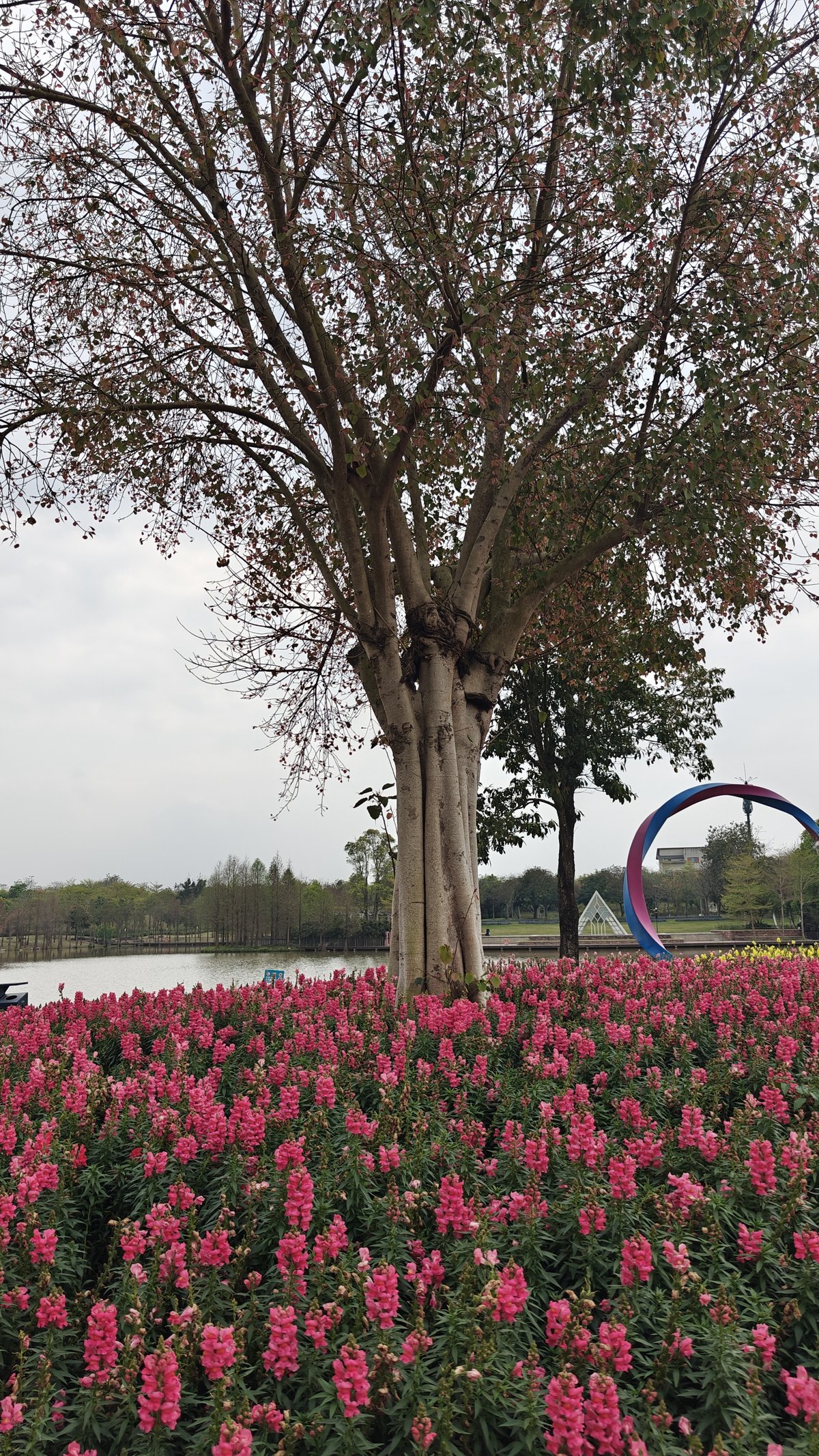 Pink snapdragons by lake sculpture