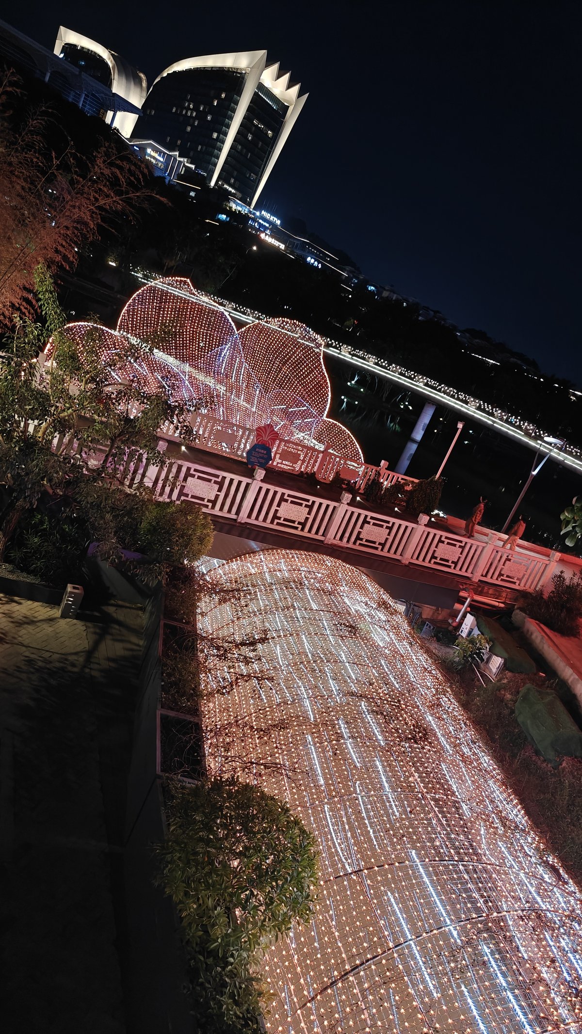 Purple-lit lakeside walkway